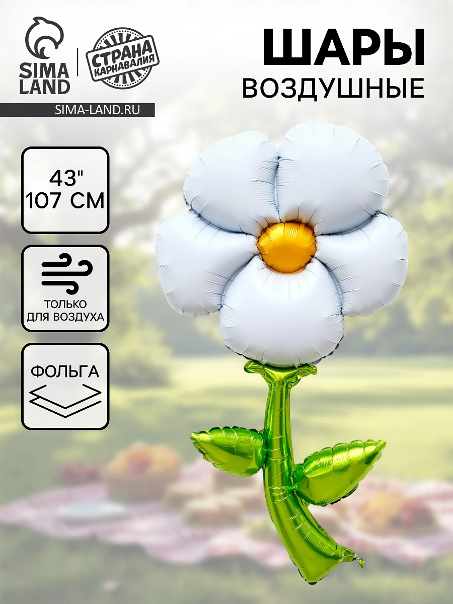 Воздушный шар фольгированный 43